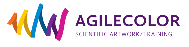 light logo